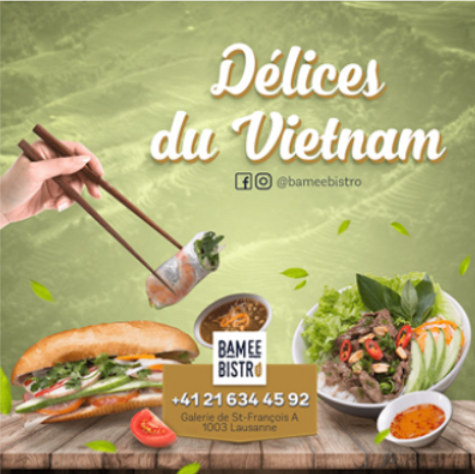 Delices du Vietnam